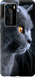 Чехол Красивый кот для Huawei P40 Pro Plus