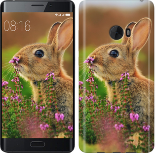 

Чохол Кролик і квіти на Xiaomi Mi Note 2 150077