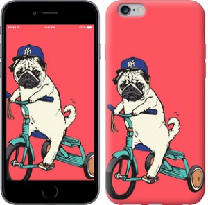 Чехол Мопс на велосипеде для iPhone 6s plus (5.5'')
