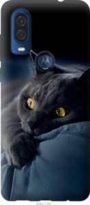 Чехол Дымчатый кот для Motorola One Vision
