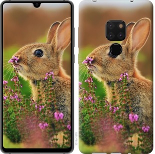 

Чехол Кролик и цветы для Huawei Mate 20 677420
