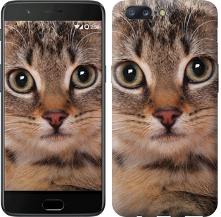 

Чехол Полосатый котик для OnePlus 5 655471