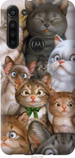 

Чехол коты для Motorola G8 Power 1395770