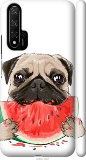 

Чехол Мопс и арбуз для Huawei Nova 5T 843824