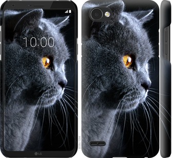 

Чехол Красивый кот для LG Q6a 667231