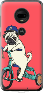 

Чехол Мопс на велосипеде для Motorola Moto G7 703043