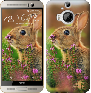 

Чохол Кролик і квіти на HTC One M9 Plus 149913