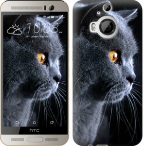 Чохол Гарний кіт на Motorola MOTO Z