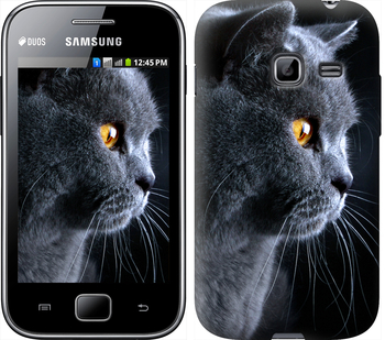 

Чехол Красивый кот для Samsung Galaxy Ace Duos S6802 116925
