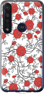 

Чехол Красные розы на белом фоне для Motorola G8 Plus 1389000