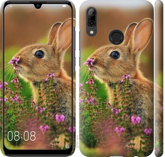 

Чохол Кролик і квіти на Huawei P Smart 2019 699660