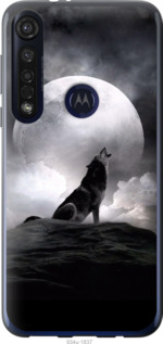 

Чехол Воющий волк для Motorola G8 Plus 1580451