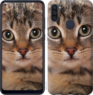 

Чохол Смугастий котик на Samsung Galaxy A11 A115F 920641