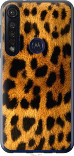 

Чохол Шкіра леопарда на Motorola G8 Plus 1497626