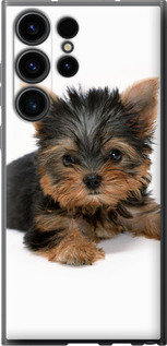 Чехол Щенок йоркширского терьера для Samsung Galaxy S23 Ultra