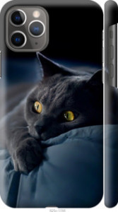 Чехол Дымчатый кот для iPhone 11 Pro