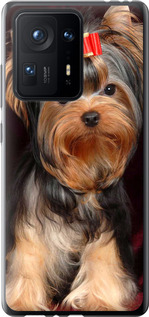 

Чехол Йоркширский терьер для Xiaomi Mix 4 1634717