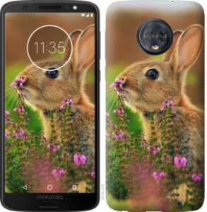 Чохол Кролик і квіти на Motorola Moto G6 Plus