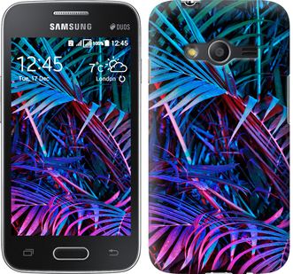 

Чехол Папоротник под ультрафиолетом для Samsung Galaxy Ace 4 G313 609784