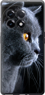 

Чехол Красивый кот для OnePlus 11R 1693915