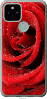 

Чохол Червона троянда на Google Pixel 5 1574254