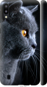 Чехол Красивый кот для Samsung Galaxy M10
