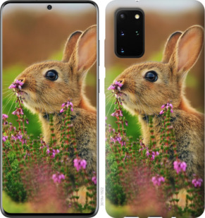 

Чехол Кролик и цветы для Huawei Honor Play 4T Pro 921802