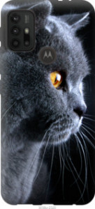 Чехол Красивый кот для Motorola Moto G30