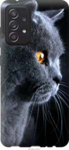 Чехол Красивый кот для Samsung Galaxy A52 4G