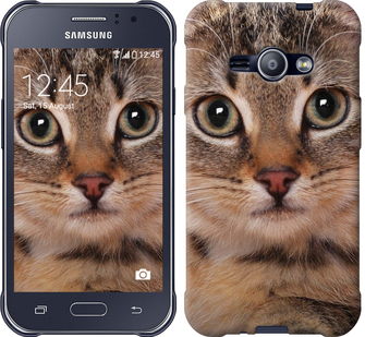 

Чехол Полосатый котик для Samsung Galaxy J1 Ace J110H 175562