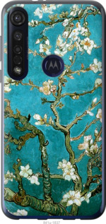 

Чохол Вінсент Ван Гог. Сакура на Motorola G8 Plus 1570445