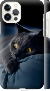 Чехол Дымчатый кот для iPhone 12 Pro