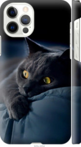Чехол Дымчатый кот для iPhone 12 Pro