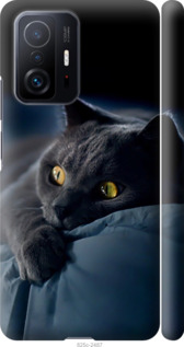 

Чохол Димчастий кіт на Xiaomi 11T Pro 1453229
