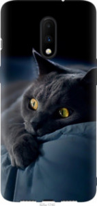Чохол Димчастий кіт на OnePlus 7