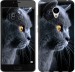 Чехол Красивый кот для Meizu M3