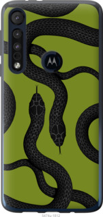 

Чехол Змеи v2 для Motorola One Macro 1438889