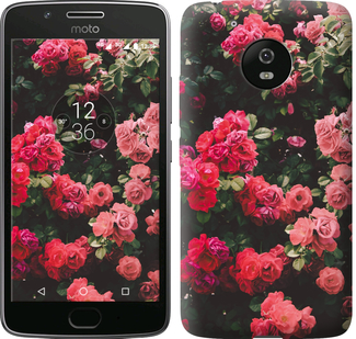 

Чохол Кущ з трояндами на Motorola Moto G5 639454