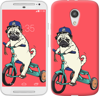 

Чохол Мопс на велосипеді на Motorola Moto G2 642860