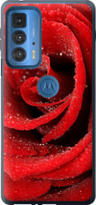 Чехол Красная роза для Motorola Edge 20 Pro