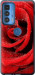 Чехол Красная роза для Motorola Edge 20 Pro
