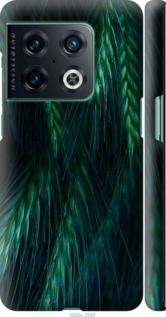 

Чохол Колоски на OnePlus 10 Pro 1580129