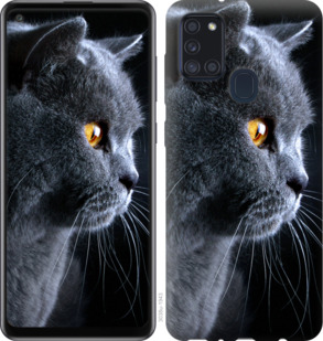 

Чохол Гарний кіт на Samsung Galaxy A21s A217F 931941