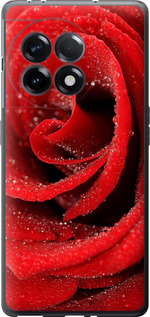 Чехол Красная роза для OnePlus 11R