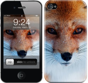 Чехол Рыжая лисица для iPhone 4