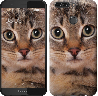 

Чохол Смугастий котик для Huawei Honor 8 Pro 655451