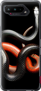 

Чехол Красно-черная змея на черном фоне для Asus ROG Phone 5 1685319