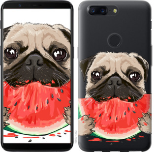 

Чехол Мопс и арбуз для OnePlus 5T 844028