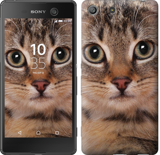 

Чехол Полосатый котик для Sony Xperia M5 175714