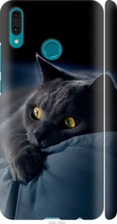 Чехол Дымчатый кот для Huawei Y9 2019